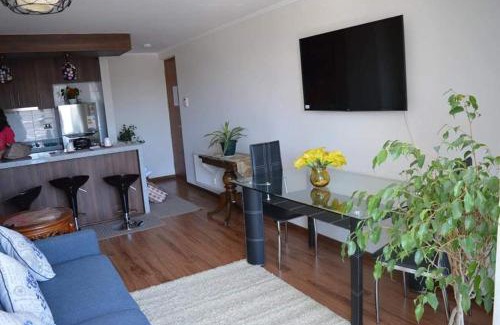 Concepcion Apartment | Departamento Concepción III