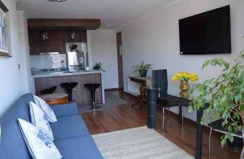 Concepcion Apartment | Departamento Concepción III