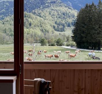 Bayrischzell Apartment | Der Schmiedhof