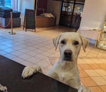 Langelsheim Hotel | Der Wolfshof - Dein Zuhause im Harz