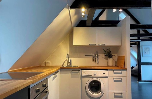 Indre By Apartment | Designer Loft - Direct "Marble Church" Views