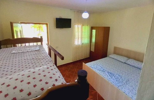 Spille House | Dhoma plazhi NATYRA brooches