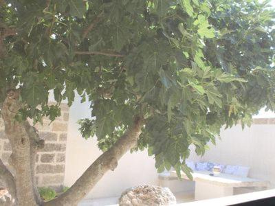 Andrano House | Dimora Cavalieri charming house salento puglia