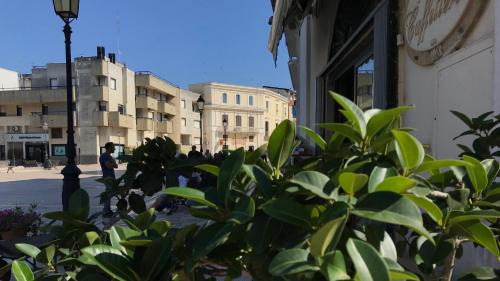 Rutigliano Apartment | Dimora Essenza