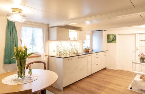 Teufen Other | Disc 594