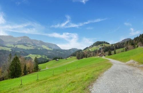 Sibratsgfaell Apartment | Dog-friendly holiday apartment in Bregenzerwald