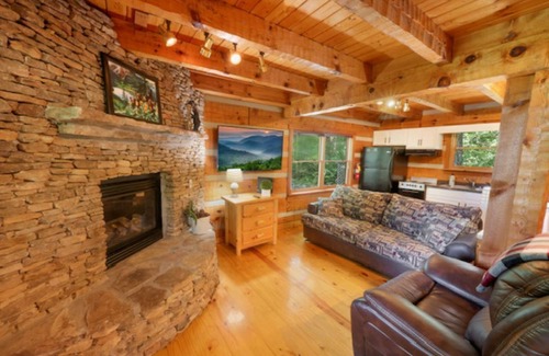 Townsend Cabin | Dog-Friendly Treehouse | Hot Tub + Views