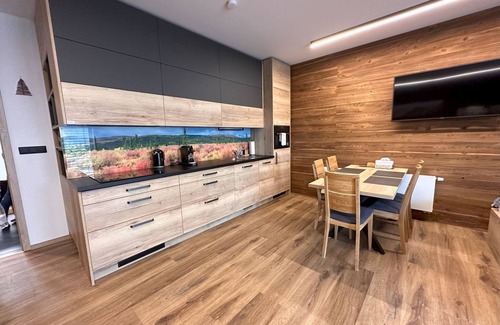 Dolni Morava Apartment | Dolní Morava 1 by Interhome