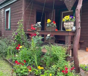 Narewka House | Dom na skraju Puszczy Białowieskiej