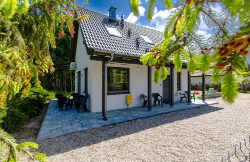 Dziwnowek House | Dom OSTOYA Wrzosowo - Ogród, Plac Zabaw & Klimatyzacja by Noclegi Renters
