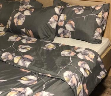 Kraslava Apartment | dom polnostju