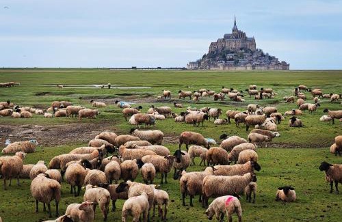 Saint-Quentin-sur-le-Homme Apartment | Domaine de L'isle Maniere