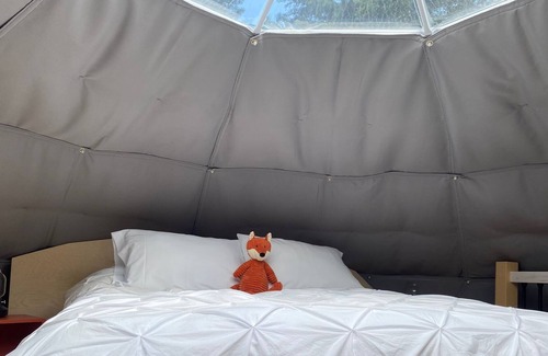 Perce Ski Chalet | Dome #2 forested at Domaine Renard