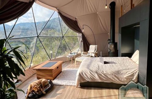 Vavatsinia Other | Dome in Nature