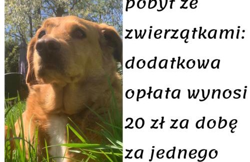 Milkow House | Domki całoroczne - u Ptaka - Miłków