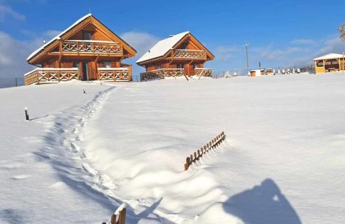 Bystrzyca Kłodzka Ski Chalet | Domki pod Czarną Górą