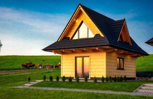 Koscielisko House | Domki-Przystanek Dzianisz