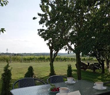 gmina Cmielow House | Domki w Winnicy - Świętokrzyska Winnica Knapów