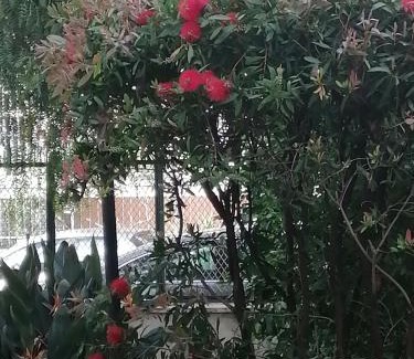 Borgo-Sanzio Bed & Breakfast | " DOMUS CORALLA" BnB Racconti Di Viaggio