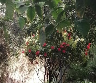 Borgo-Sanzio Bed & Breakfast | " DOMUS CORALLA" BnB Racconti Di Viaggio