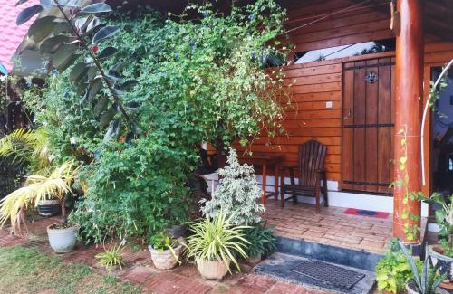 Trincomalee Hotel | DOT BEY beach cabana