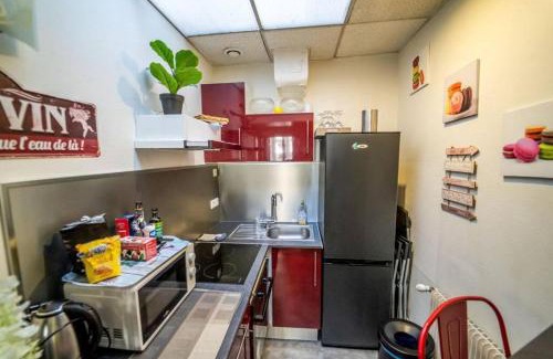 Blois Apartment | Double Appart Hypercentre Blois à 5 min Château