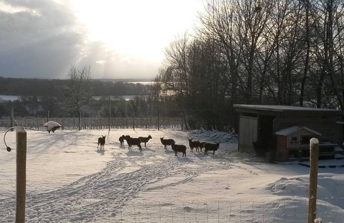 Oedheim Other | Double room Trollinger **** - Ferienhof Laurentius