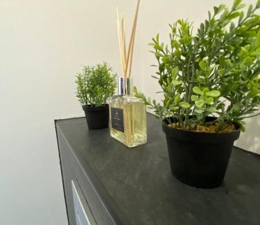 Dorlisheim Apartment | Douce Nuit & Spa