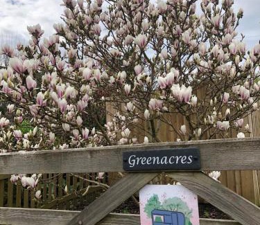 Heligan Bed & Breakfast | Down The Garden Path Vintage Caravan B&B , Dartmoor