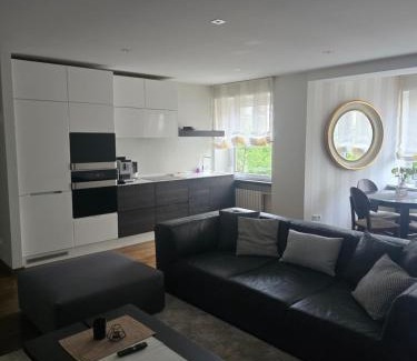 Siauliai City Center Apartment | Downtown Boulevard View Residence
