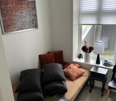 Alesund Apartment | Downtown free parking cozy apartment