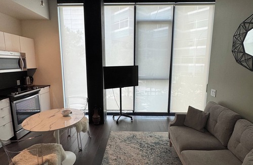 Downtown Winnipeg Condo | Downtown Glasshouse Condo - 1 BR/1 Bath