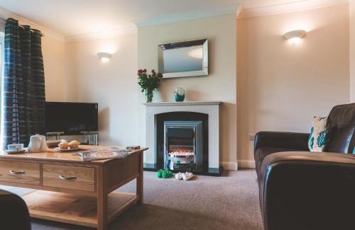 Bridgwater House | Dragonfly