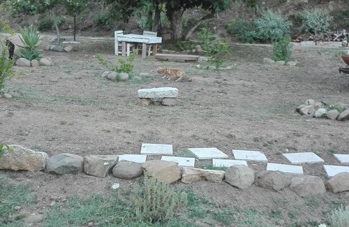 Tempio Pausania House | Dream farmhouse where to stay well