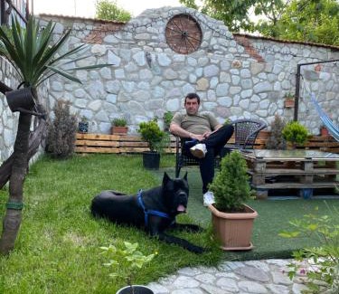 Telavi House | Dreamland Guest House