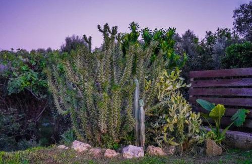 Paliki House | Dreamy Wooden Cottage Lixouri