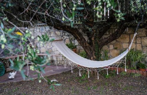 Paliki House | Dreamy Wooden Cottage Lixouri