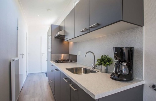 Municipality of Noordwijk House | Duinlodge 4+2 by Interhome