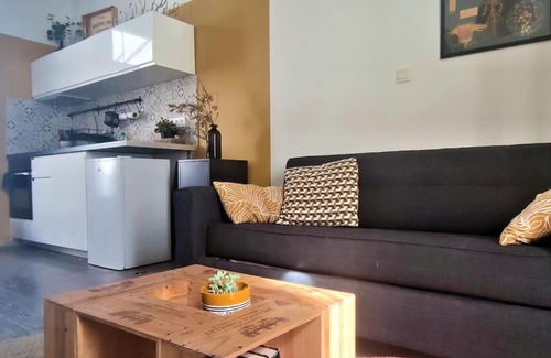 Minimes - Barriere de Paris Apartment | Duplex Canal du Midi