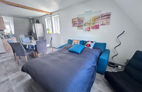 Haguenau Apartment | Duplex confort exceptionnel hyper centre parking à proximité