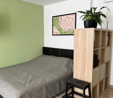 Siauliai City Center Apartment | DvaroStudio jaukus butas centre self-check-in