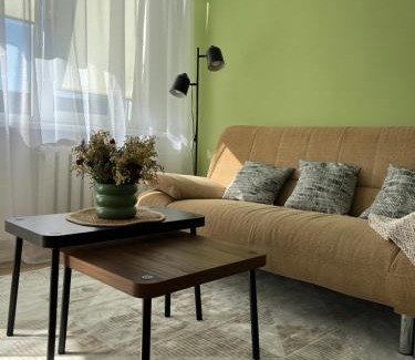 Siauliai City Center Apartment | DvaroStudio jaukus butas centre self-check-in