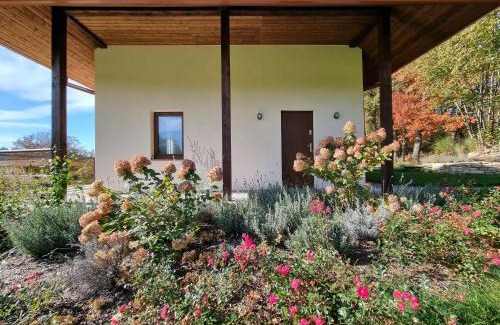 Sanok Apartment | Dziubanowo