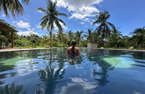 Embilipitiya Hotel | eagle