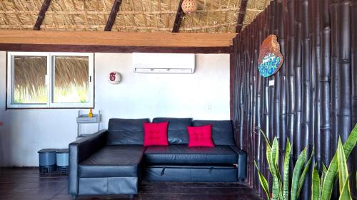 Veracruz Other | EcoPalapa Mimí