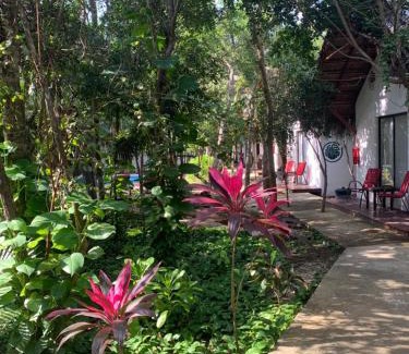 Chemuyil Hotel | Ecovergel Hotel Riviera Maya