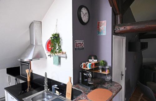 Rives de Meurthe Apartment | Ecrin calme à Nancy - A deux pas de la place Stanislas Appart 2ch