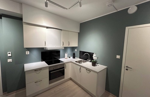 Tromso Apartment | Eidekollen Aurora Hideaway