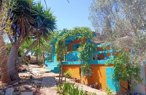 Cabanes House | El Antojito