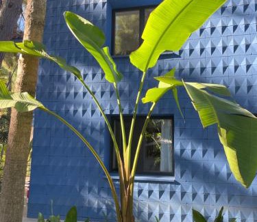 Sagra House | El botanico de Sagra